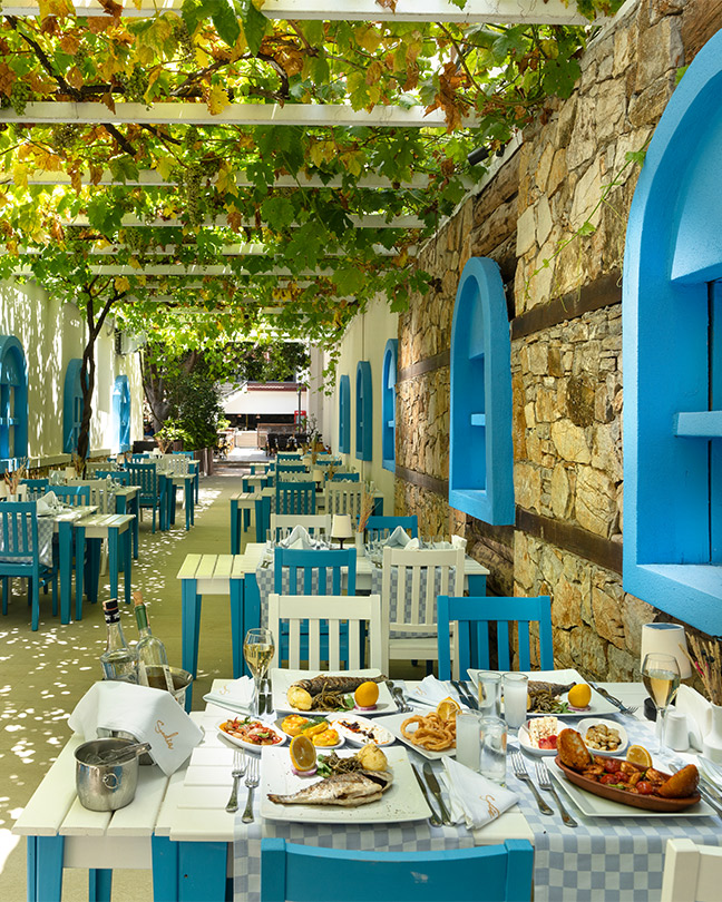 Sundia Oludeniz Ana Restoran Card4